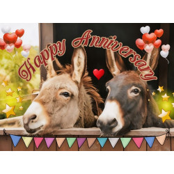 Donkeys Anniversary Card