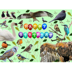 Multiple Wild Birds Birthday Card Multiple Wild Birds Birthday Card