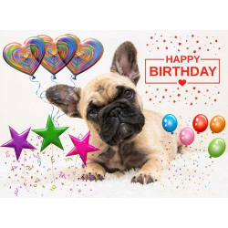 Pug Birthday Card Pug Birthday Card