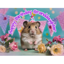 Granddaughter Hamster Birthday Card