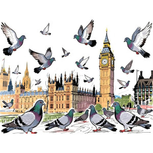 Birds