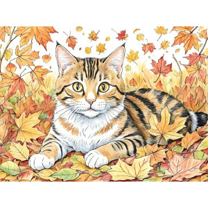 Cats Cats