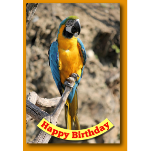 Birthday Cards