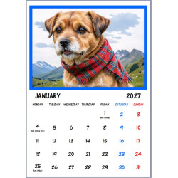 2027 Border Terrier Calendar