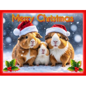 Christmas
