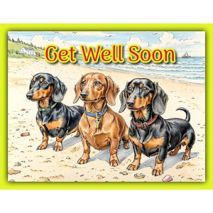Get Well