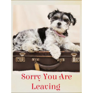 Leaving / Retirement