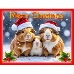 Guinea Pig Family Christmas Card