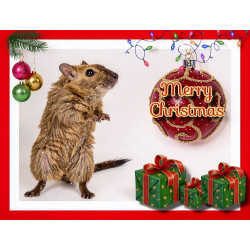 Gerbil Christmas Card