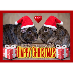 Guinea Pigs Christmas Card Guinea Pigs Christmas Card