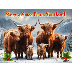 Highland Cow Family Christmas Card