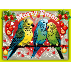 Birds